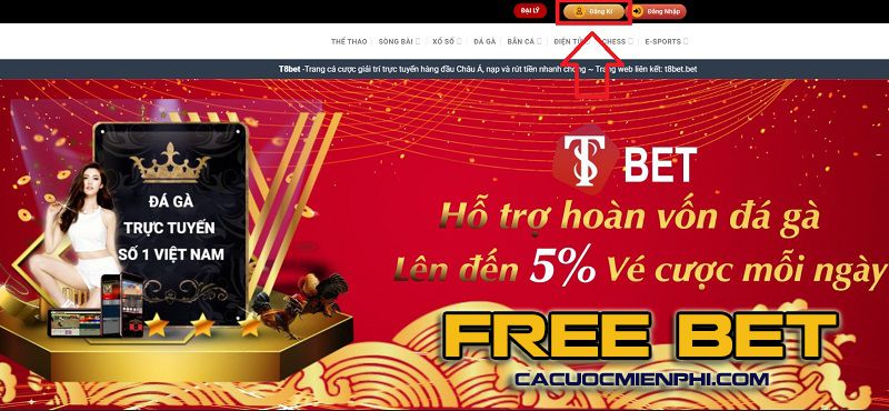 Bigboss chấp nhận các phương thức thanh toán sau: - Bigboss