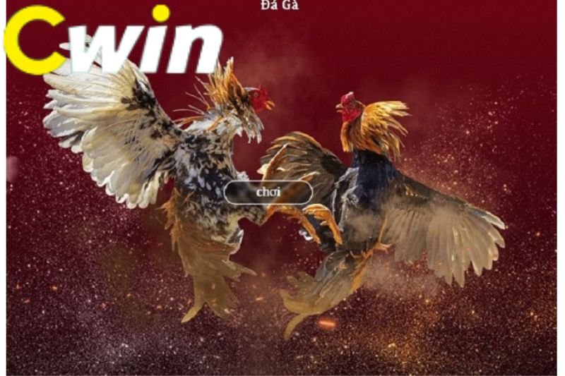 Five888 cung cấp rất nhiều trò chơi đa dạng - Five888