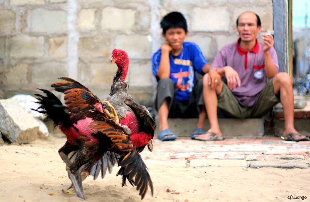 789Bet Bet cũng coi trọng các khía cạnh khác - 789Bet