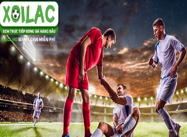 Câu được những con cá hạng Go88 và trải nghiệm cảm giác hồi hộp thực sự - Go88