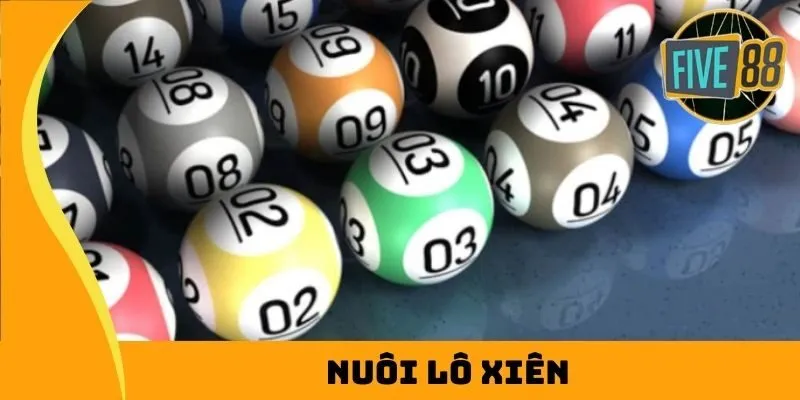 Một số chương trình giải trí cấp 6Sports - 6Sports