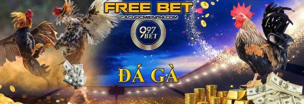 Các sản phẩm cá cược phổ biến nhất của 77Win Gaming - 77Win