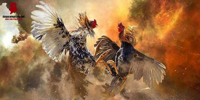 Công ty game hàng đầu và uy tín của châu Á - M88