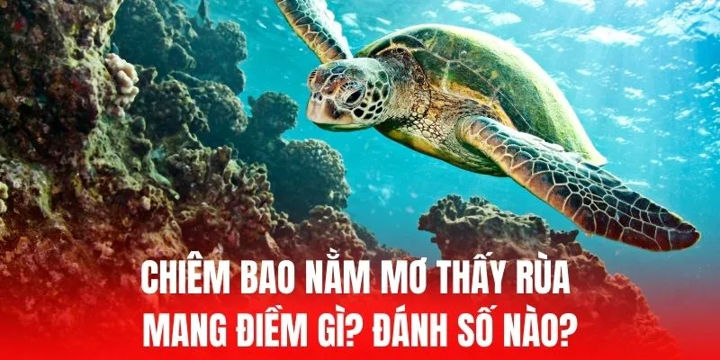 Vui lòng điền đầy đủ thông tin theo yêu cầu trên trang web của Vl88 Games - Vl88