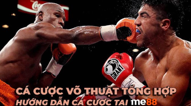 Thông tin chung về Manclub - Manclub