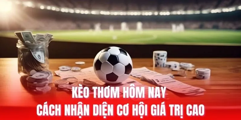 Tổng quan về các công viên giải trí hạng 8Xbet - 8Xbet