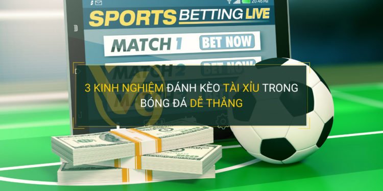 Bwin là một trò chơi máy đánh bạc 3D vô cùng hấp dẫn và phổ biến - Bwin