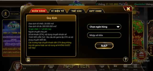 7Ball có những lĩnh vực chuyên môn nào? - 7Ball