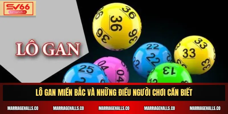 Các hoạt động quảng bá trên trang web cổng game K8vn - K8vn