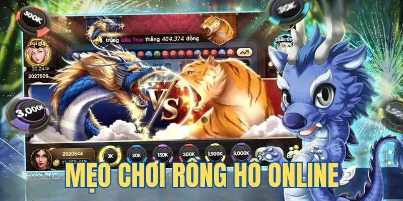 Tại sao tôi cần cung cấp thông tin cá nhân để đăng ký với 1Xbet? - 1Xbet