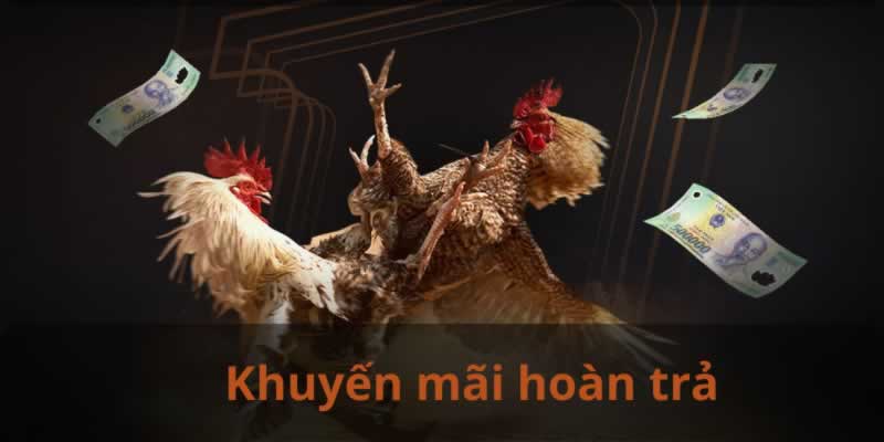 Zm88 là nơi dành cho những người yêu thích sự vui vẻ và hào hứng - Zm88