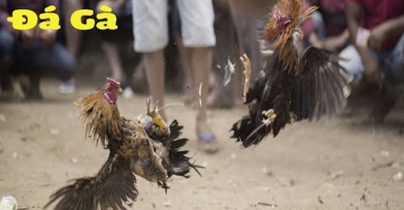 18Bet cung cấp nhiều phương thức thanh toán - 18Bet