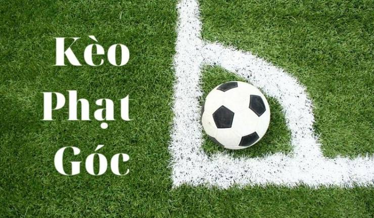 Quyền lợi thành viên 85Win - 85Win