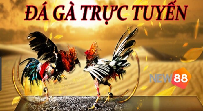 Phương thức rút tiền an toàn và nhanh chóng đạt chuẩn 8Xbet - 8Xbet